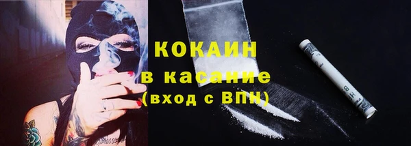 гидра Костерёво
