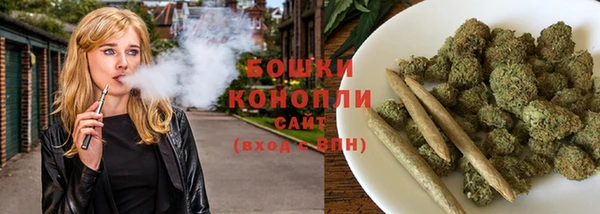 гидра Костерёво