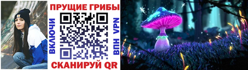 Купить где  Красноперекопск  Галлюциногенные грибы мухоморы 